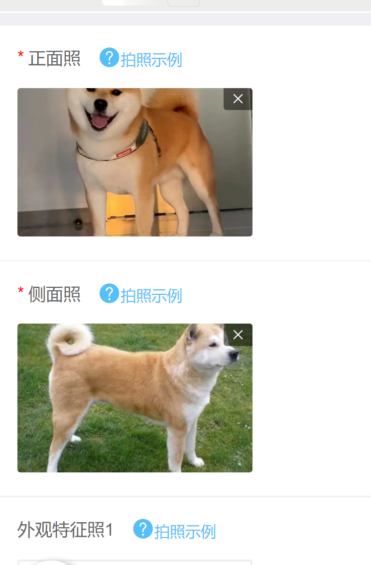 如何辦理初次養(yǎng)犬登記？