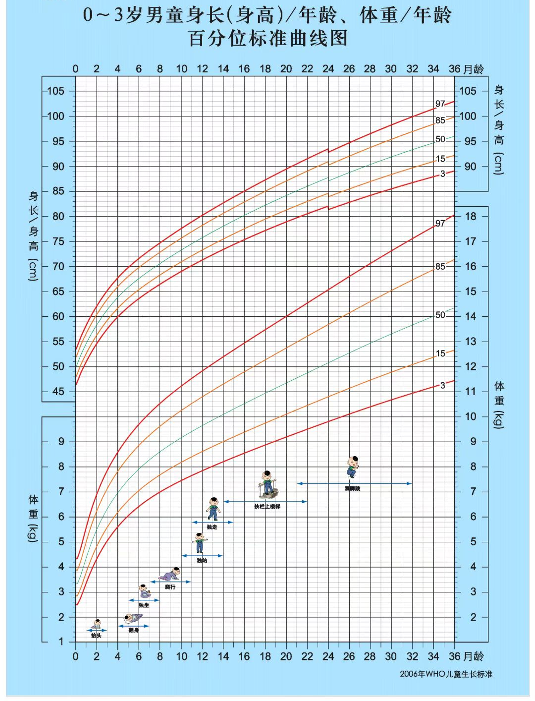 0～３歲兒童生長發(fā)育監(jiān)測圖
