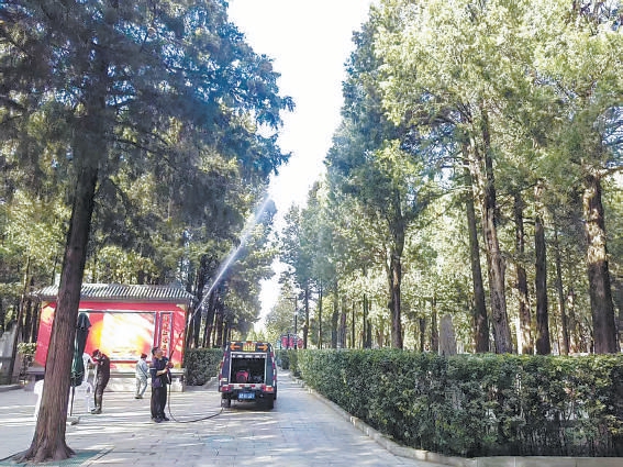 萬(wàn)安公墓為圓柏噴水除粉。