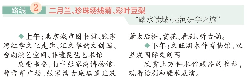 四條“賞花+”特色路線游遍副中心