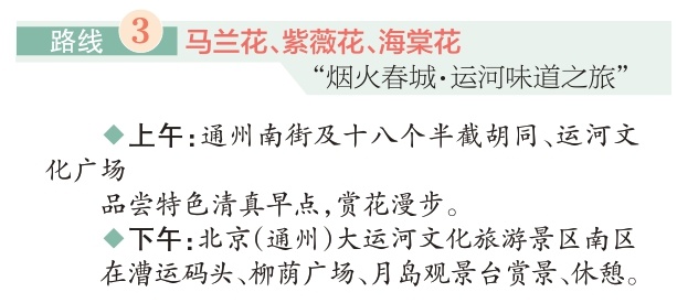 四條“賞花+”特色路線游遍副中心