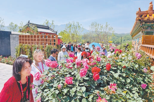 外國(guó)友人正在賞花。