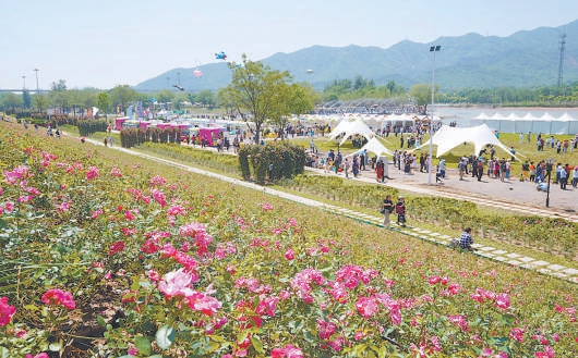 京西月季洲主場(chǎng)開(kāi)展河岸市集等系列項(xiàng)目。