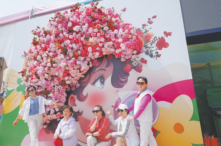 文化墻前，賞花客與月季“少女”合影。