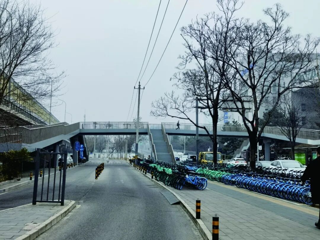 本市非機(jī)動(dòng)車停放治理打出“系統(tǒng)施治”組合拳