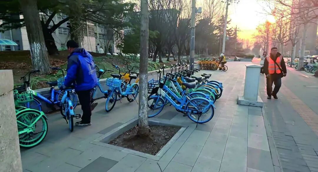 本市非機(jī)動(dòng)車停放治理打出“系統(tǒng)施治”組合拳