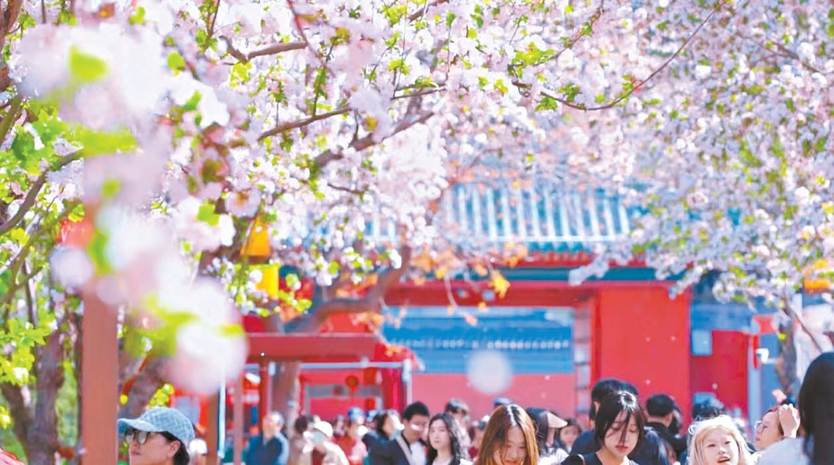 北海公園“海棠路”。