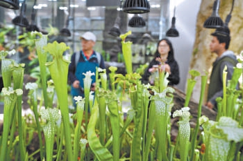 國家植物園低溫溫室升級改造后向公眾開放。