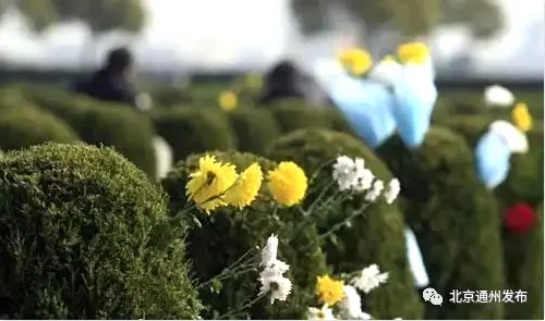 增設(shè)車位，專線直達(dá)！通州清明祭掃這些道路臨時(shí)管控