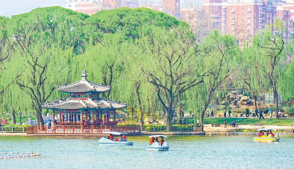 圖為清明假期，市民游客在陶然亭公園乘坐腳踏船，泛舟賞景，盡享春日閑暇。