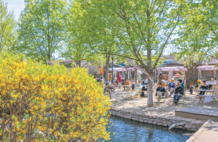 臨水的咖啡館旁花開得熱鬧，花團錦簇，也帶火了咖啡館的生意。