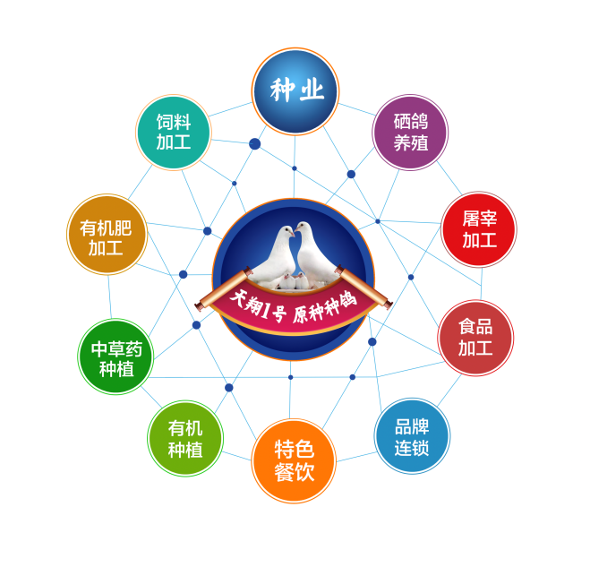 北京市專精特新企業(yè)監(jiān)測月度報(bào)告（2023年11月）