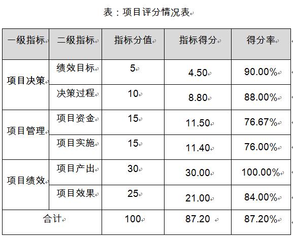 項目評分情況表