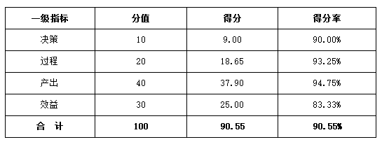 綜合評(píng)價(jià)得分情況表