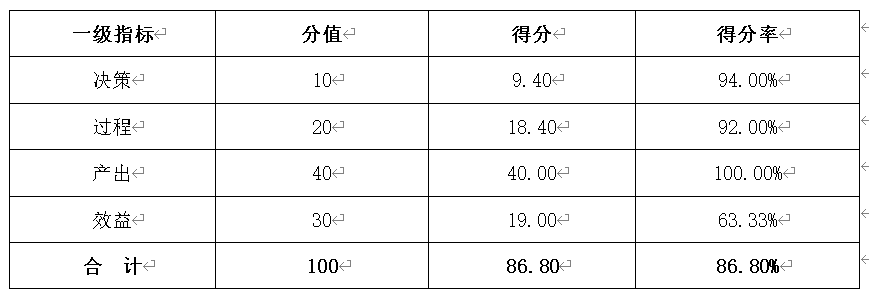 表2：綜合評(píng)價(jià)得分情況表