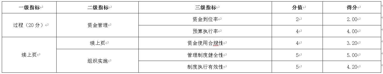 表4：過(guò)程指標(biāo)設(shè)定及評(píng)分情況表
