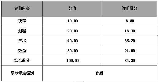 廣告費(fèi)項(xiàng)目績(jī)效評(píng)價(jià)結(jié)論一覽表