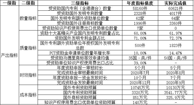 項目產(chǎn)出情況分析