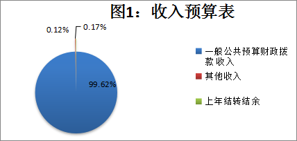 圖1：收入預算表