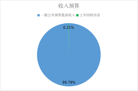 收入預(yù)算