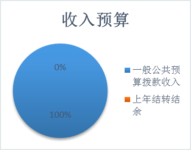收入預(yù)算