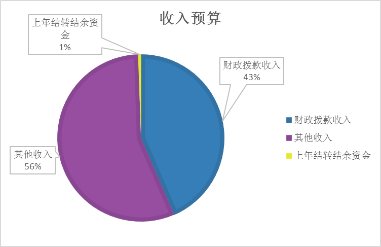 收入預(yù)算