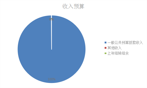 收入預(yù)算