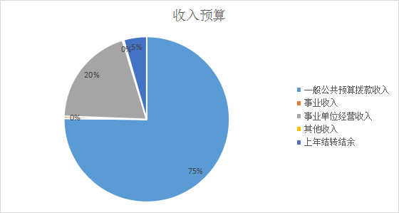收入預(yù)算