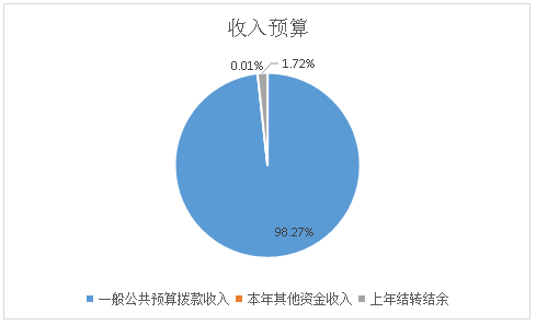 收入預(yù)算