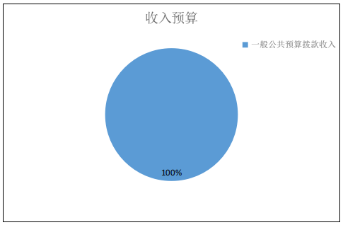收入預(yù)算