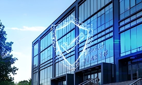 就構(gòu)建大平安工作格局等方面征集建議