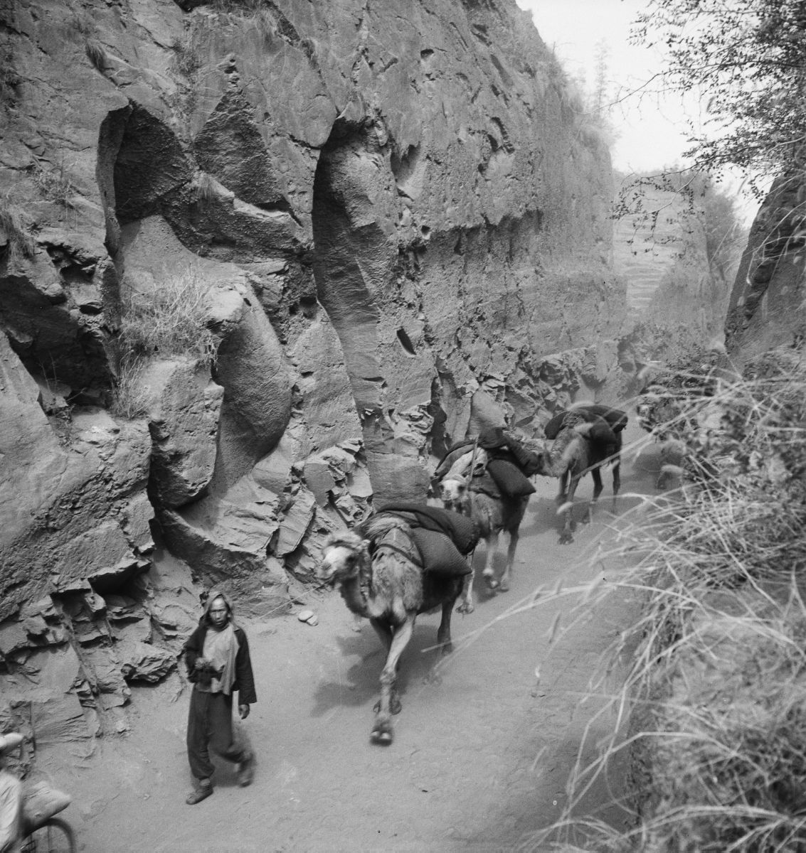 模式口古道 (4).bmp