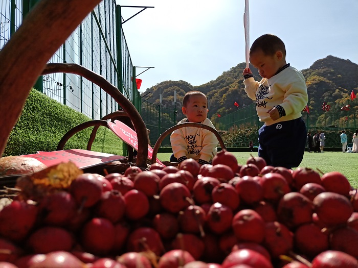 鐵爐鄰里節(jié)