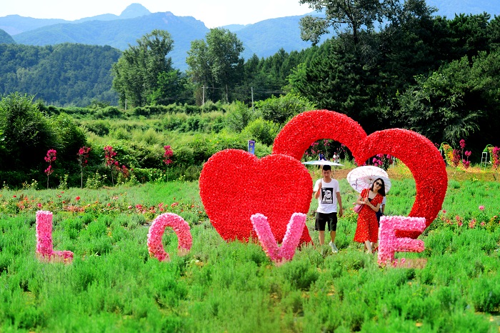 延慶四海七夕活動