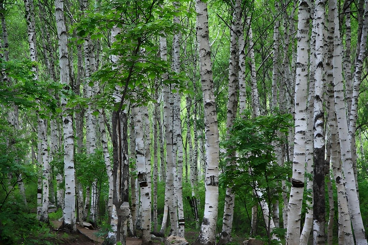 北京推出七條特色鄉(xiāng)村旅游線路 北京推出七條特色鄉(xiāng)村旅游線路