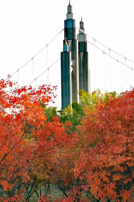 初秋→深秋，昌平這7條賞秋線路必沖