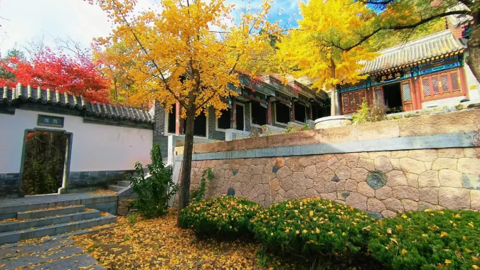 初秋→深秋，昌平這7條賞秋線路必沖