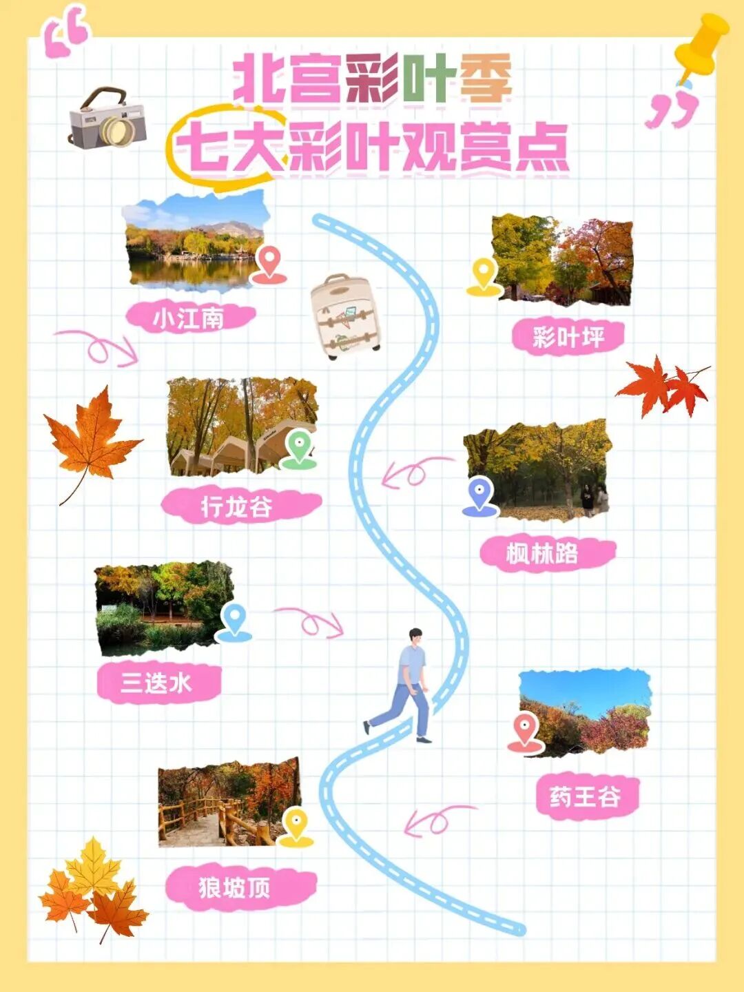 秋日宜登高 寶藏登山賞秋路線推薦