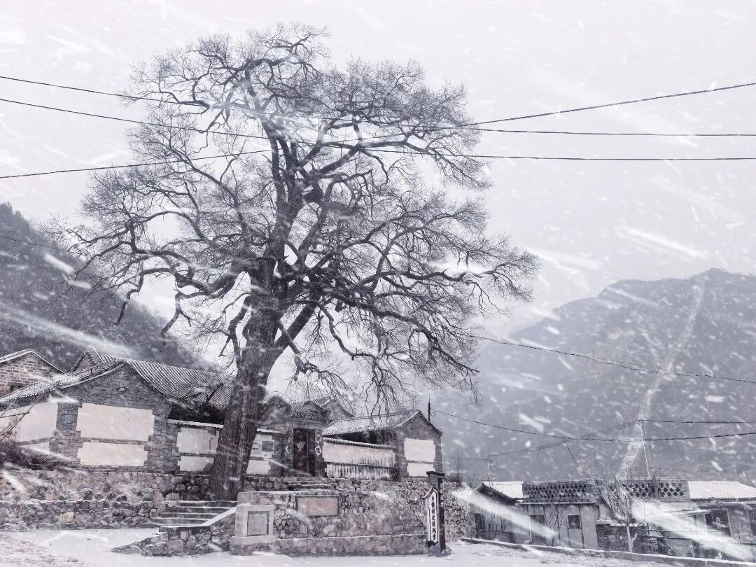 京郊賞雪寶藏線路 解鎖冬日限時(shí)浪漫 京郊賞雪寶藏線路 解鎖冬日限時(shí)浪漫