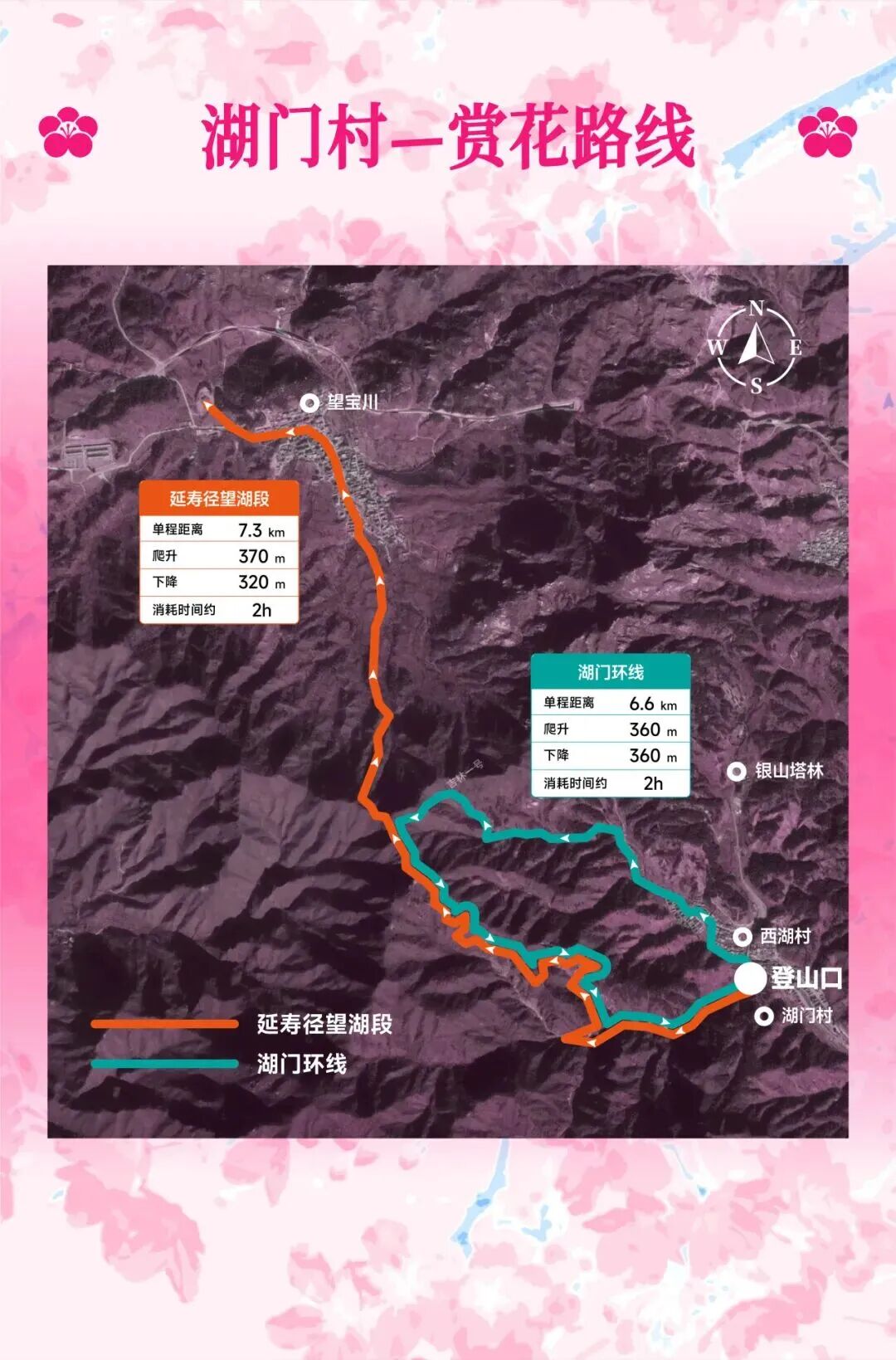 延壽最佳賞花期即將到來！解鎖徒步&騎行賞花全指南