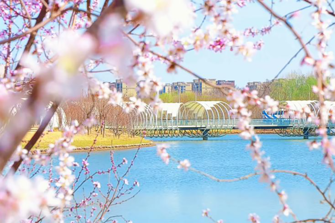 “峪馬”線路推薦丨順義這條生態(tài)線，練跑休閑都合適~