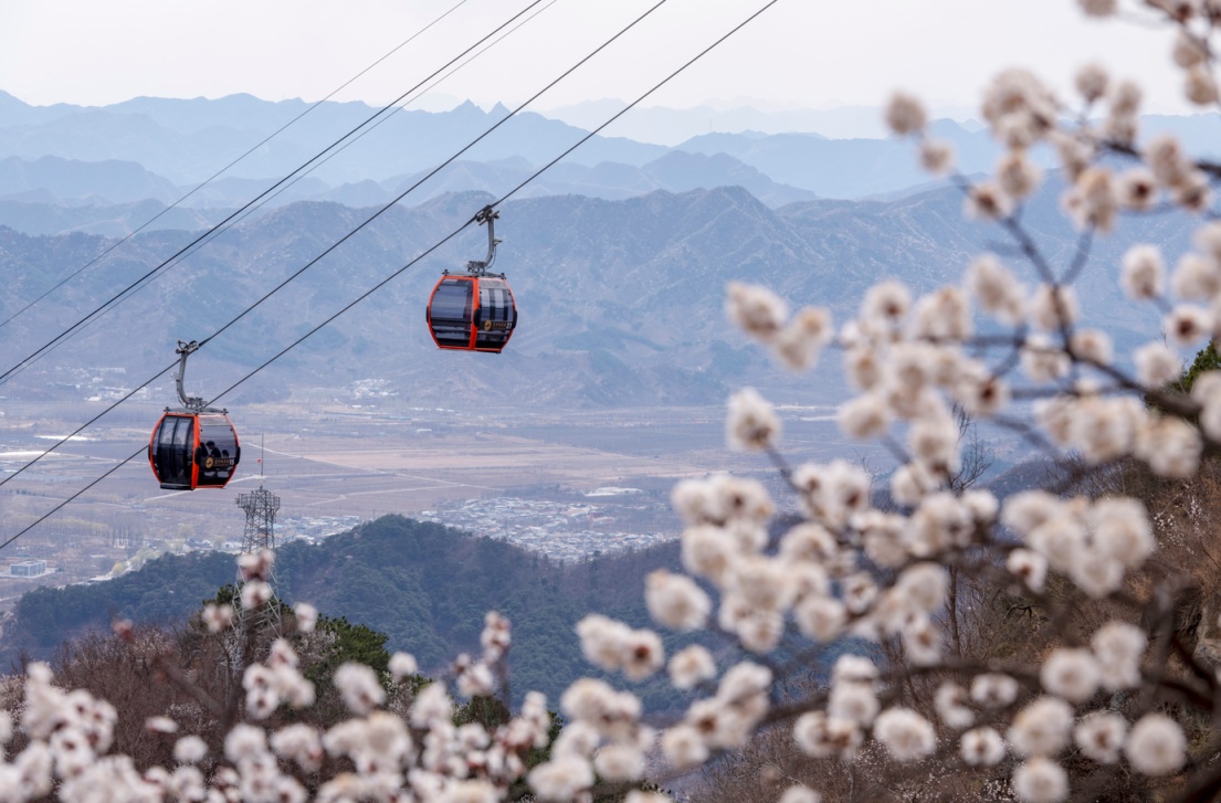 長城花海上線！北京六段長城春日賞花全攻略來了