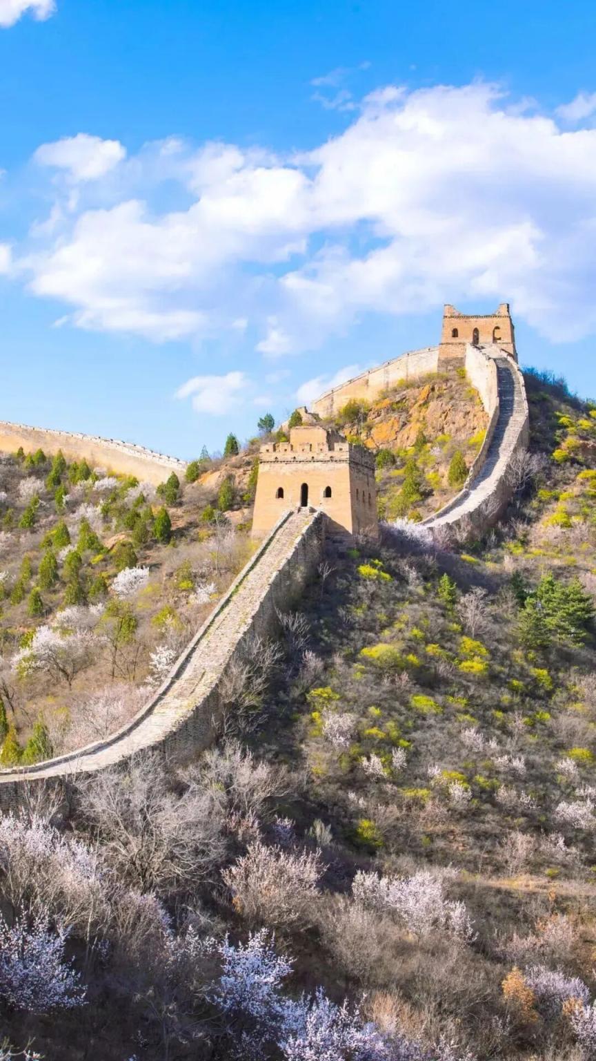 長城花海上線！北京六段長城春日賞花全攻略來了