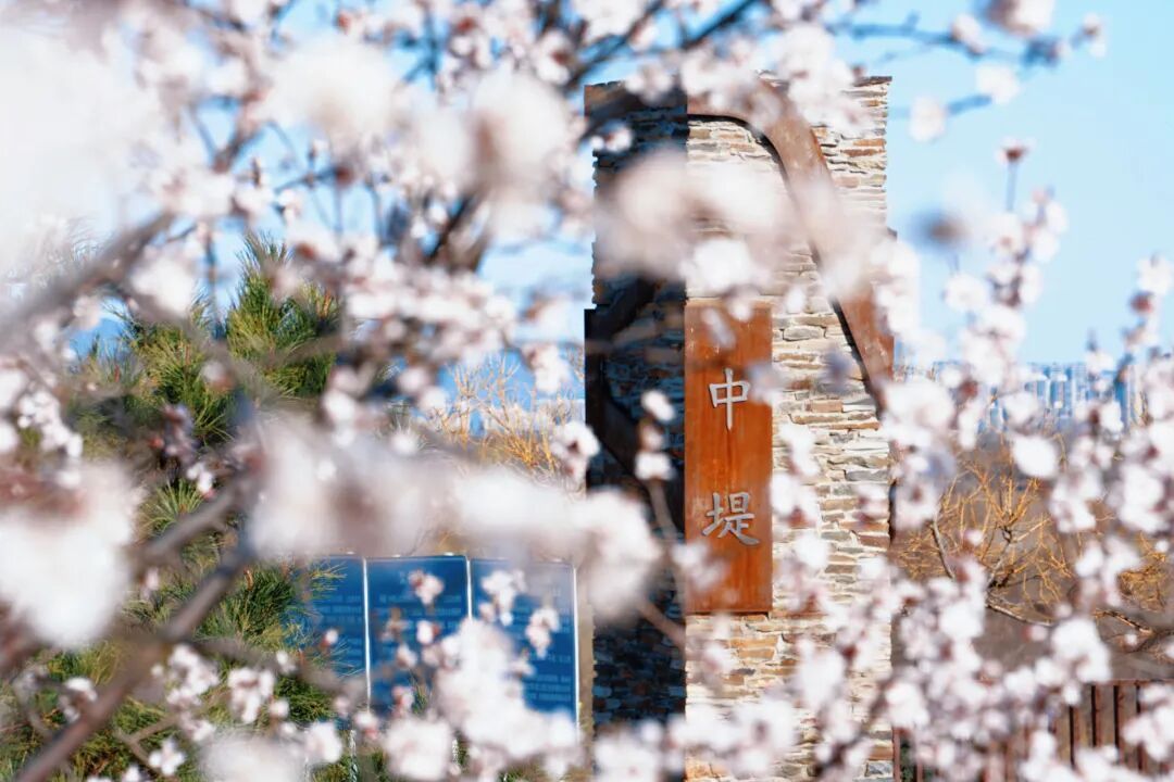 4月1日，永定河中堤恢復(fù)開(kāi)放！