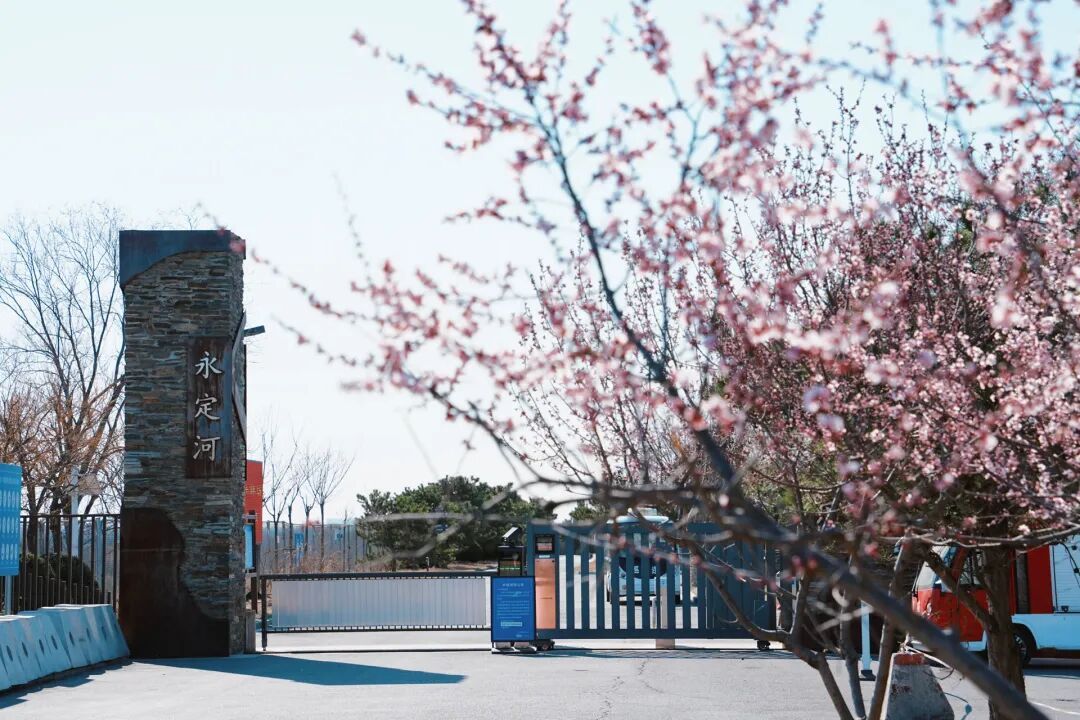 4月1日，永定河中堤恢復(fù)開(kāi)放！