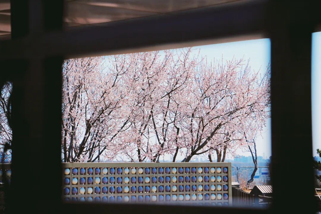 4月1日，永定河中堤恢復(fù)開(kāi)放！