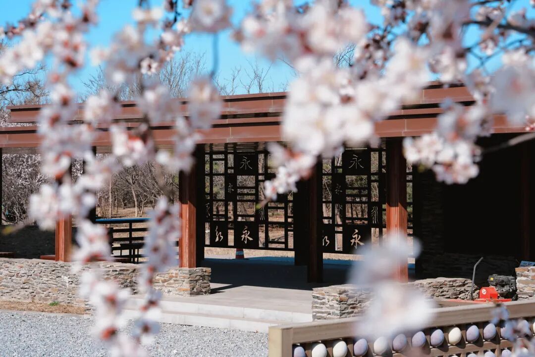 4月1日，永定河中堤恢復(fù)開(kāi)放！