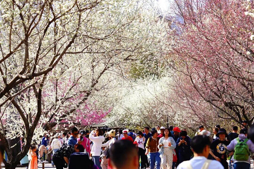 北京推出15條“最美園路”！點擊收藏——