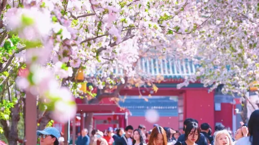 北京推出15條“最美園路”！點擊收藏——