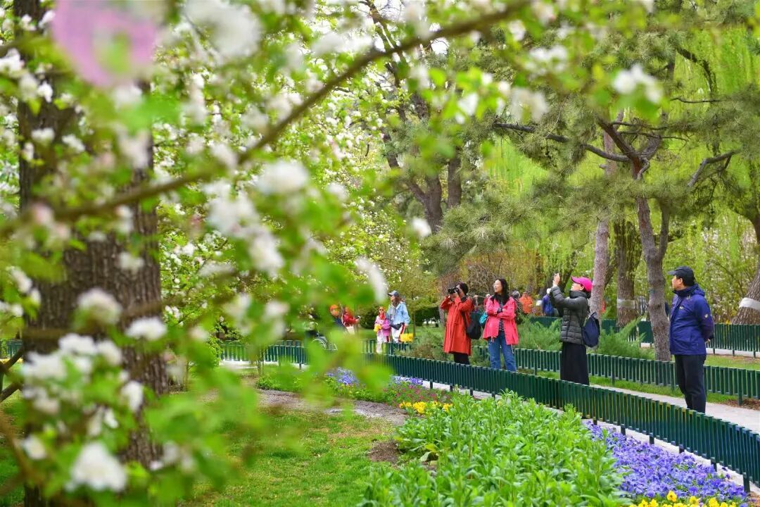北京推出15條“最美園路”！點擊收藏——